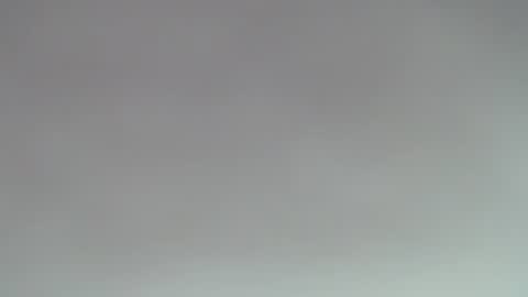 ROSE online show from 11.01.25