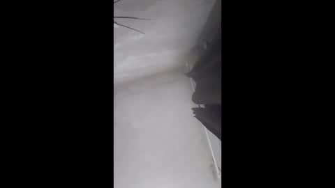 sergiobianchi977 online show from 04.22.26