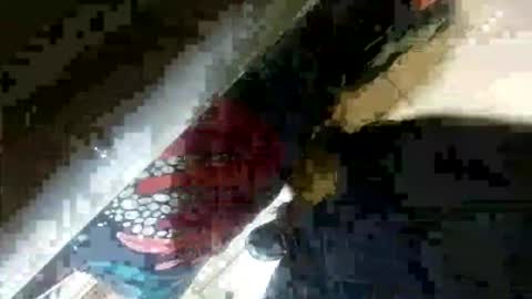 Snapshot of seus1149 chatting on 07.23.26 seus1149 online show from 07.23.26