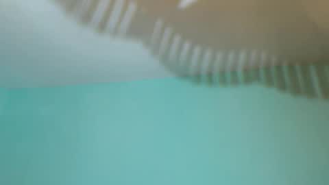 Snapshot of sevendragons1 chatting on 10.19.25 SevenDragons online show from 10.19.25