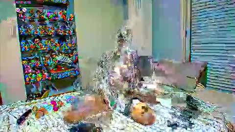 Sexapoly online show from 03.17.26