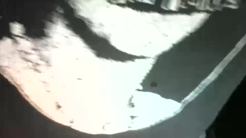 sexdeiv online show from 03.13.26