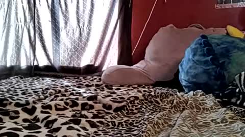 Snapshot of sexiwhiskey699 chatting on 02.21.26 sexiwhiskey699 online show from 02.21.26