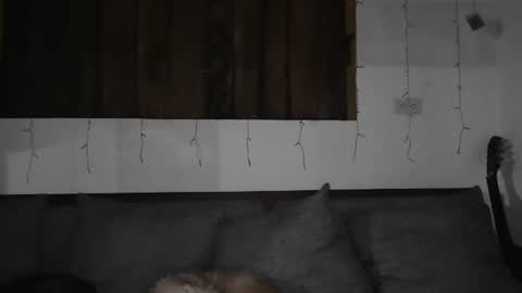 Snapshot of sexnchocolate chatting on 01.11.25 Trixy Rose online show from 01.11.25