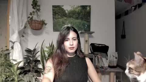         online show from 02.06.26