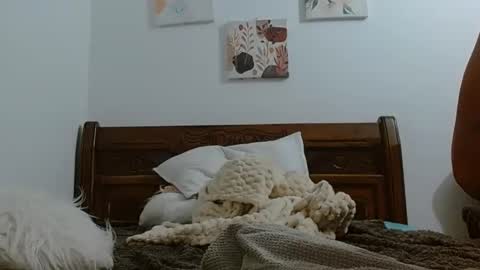 Snapshot of sexual_muscle chatting on 02.24.26 sexual_muscle online show from 02.24.26