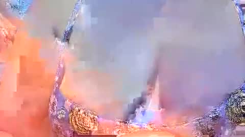 Snapshot of sexxyicee69 chatting on 03.02.25 misslovely j online show from 03.02.25