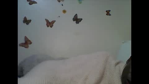 Ann online show from 11.22.25