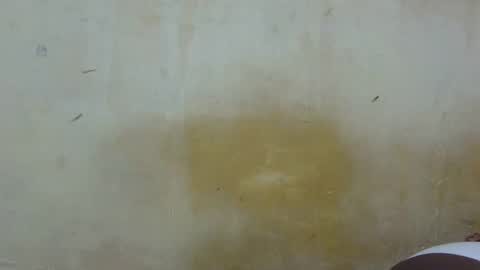 sexy_candy9 online show from 01.13.26