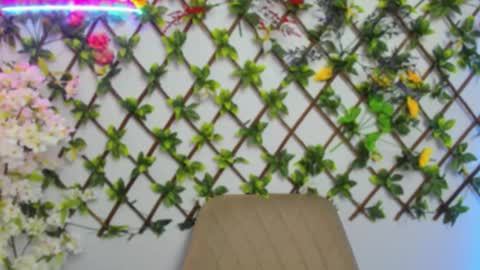 Lily online show from 03.26.26