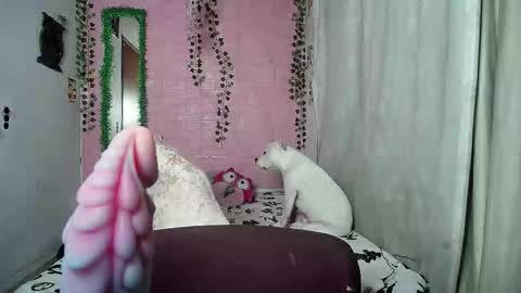 sexy lolas online show from 02.20.26