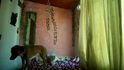 Snapshot of sexy_lolas chatting on 07.17.26 sexy lolas online show from 07.17.26