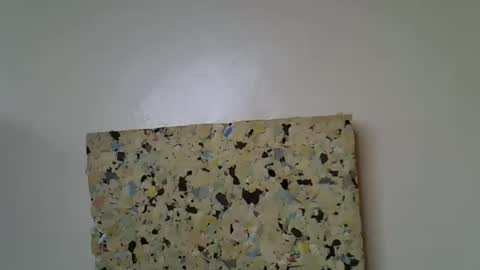 Molyne online show from 04.16.26