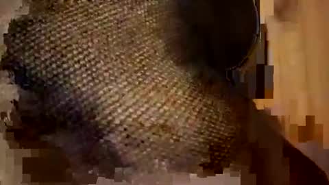 Forever Erotica online show from 11.09.25