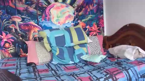 Mike online show from 01.14.26