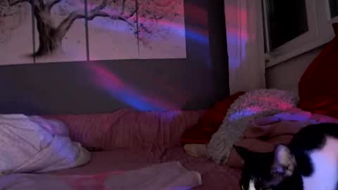     .... ............ Onlyfans   online show from 03.22.26