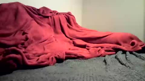 sexygg8331 online show from 12.16.24