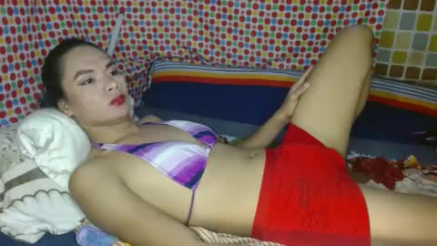 nikko online show from 01.06.25