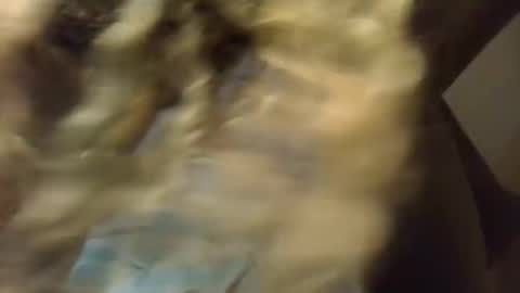 SexyKitty online show from 11.21.25