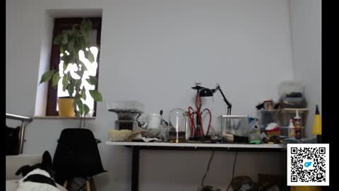 Adrian online show from 02.04.25