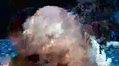 Natalie sweet online show from 04.25.26