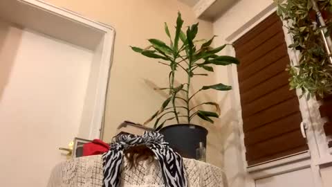 Snapshot of sexysexydream chatting on 01.22.25 Anya online show from 01.22.25