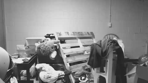 sexyshavenboi online show from 01.17.26