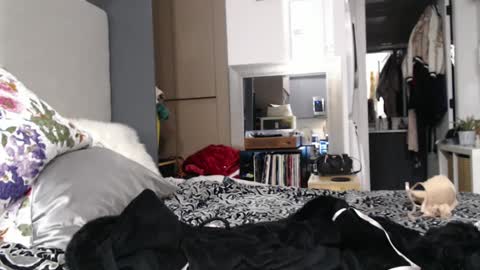 Snapshot of shannon07 chatting on 01.13.25 Shannon07 online show from 01.13.25