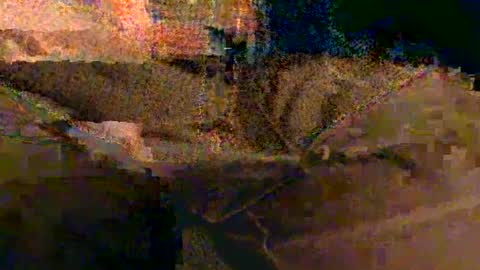 shapelyhelm1 online show from 02.14.25