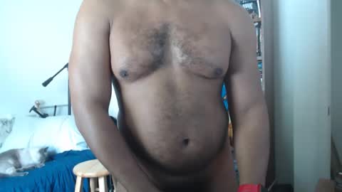 sheepishlion online show from 04.06.26