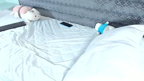 Sheepy online show from 12.20.24