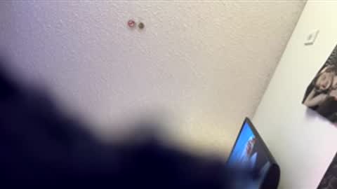 shelbsss17 online show from 03.31.26