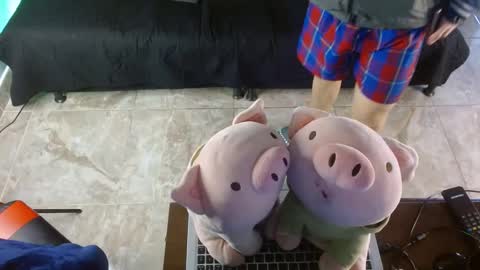  .. shinobi .. online show from 01.24.25