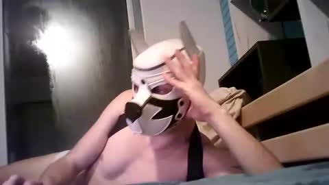 shirogane2004 online show from 01.07.26