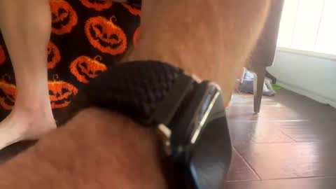 Snapshot of shortshortsman chatting on 10.08.25 shortshortsman online show from 10.08.25