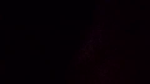 showstper online show from 11.13.25