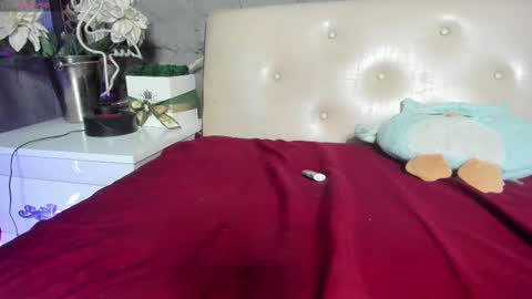 Snapshot of shygurl18hot chatting on 02.25.25 shygurl18hot online show from 02.25.25