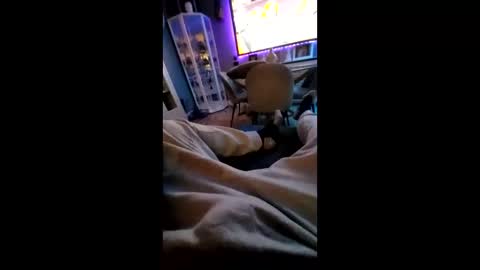 shynessy online show from 02.10.25