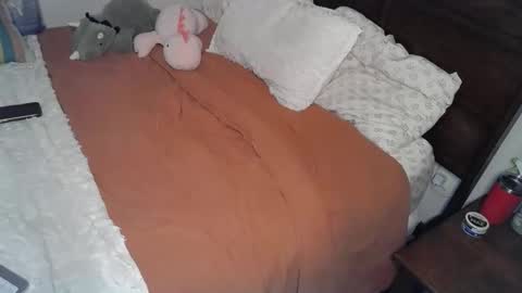 shypetitebaby online show from 03.12.26