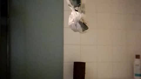 Snapshot of sigmaelixer chatting on 10.18.25 sigmaelixer online show from 10.18.25