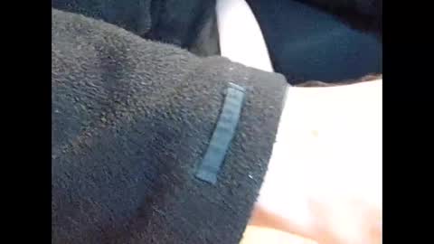 Snapshot of silagra19steif chatting on 09.25.25 devotsubmissive dogvierbeiner online show from 09.25.25