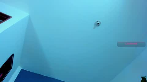 Snapshot of silvabranko chatting on 10.22.25 silvabranko online show from 10.22.25