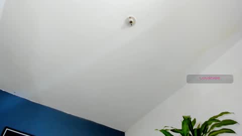 Snapshot of silvabranko chatting on 10.26.25 silvabranko online show from 10.26.25