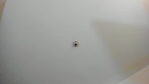 Snapshot of silvabranko chatting on 11.02.25 silvabranko online show from 11.02.25