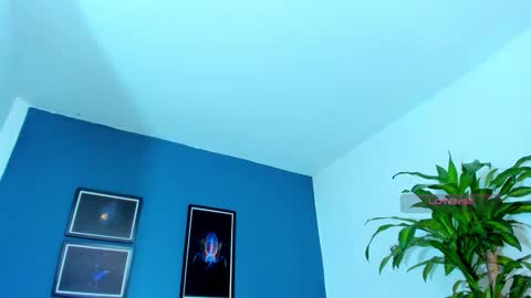 Snapshot of silvabranko chatting on 11.09.25 silvabranko online show from 11.09.25