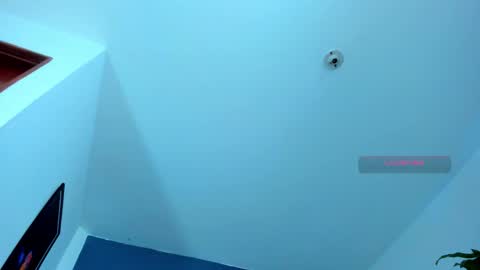 Snapshot of silvabranko chatting on 11.09.25 silvabranko online show from 11.09.25