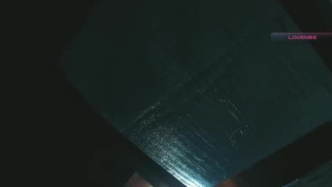 Snapshot of silvabranko chatting on 04.27.26 silvabranko online show from 04.27.26