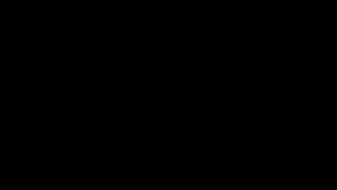 silvia_ls online show from 02.24.25