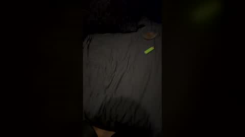 Snapshot of simsimeon chatting on 03.01.26 simsimeon online show from 03.01.26