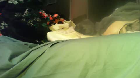 Snapshot of sinseason chatting on 11.11.25 Sinseason online show from 11.11.25